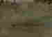 item-133474937=3