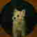 item-133475316=4