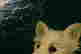 item-133475316=5