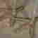 item-137567338=6