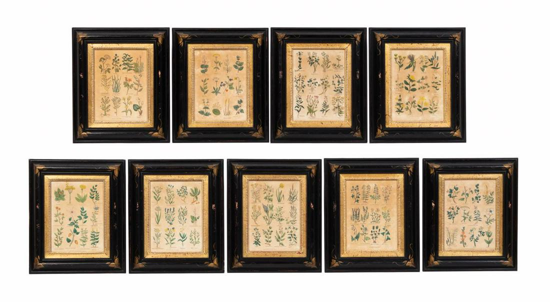 AFTER N. CULPEPER 9 BOTANICAL ENGRAVINGS, FRAMED (1 of 11)