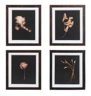 FOUR JOYCE TENNESON FLOWER PORTRAITS: Four Joyce Tenneson (American b. 1945), flower portrait prints, 2002, comprising three iris prints and one giclee print all numbered 1/25, each signed, dated and editioned at the bottom as well as hav