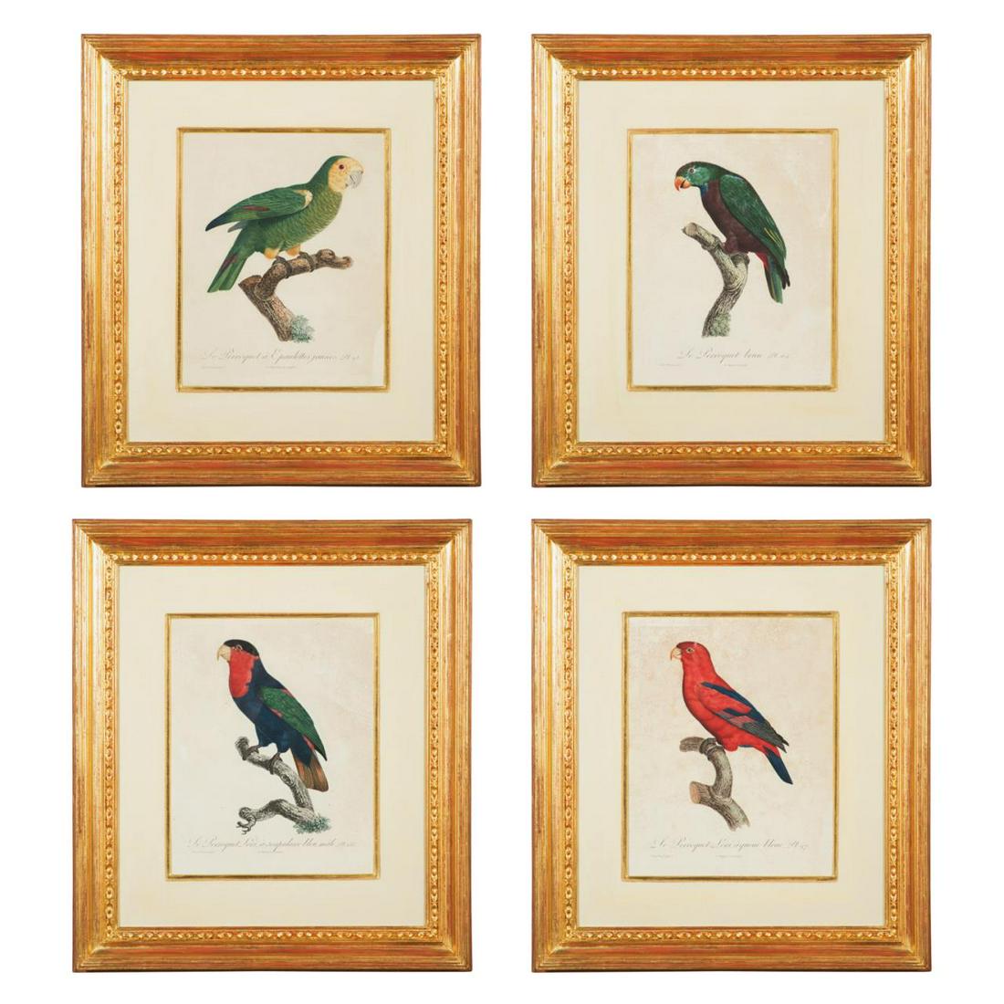 AFTER BARRABAND, FOUR PARROT ENGRAVINGS,1801-1805 (1 of 14)