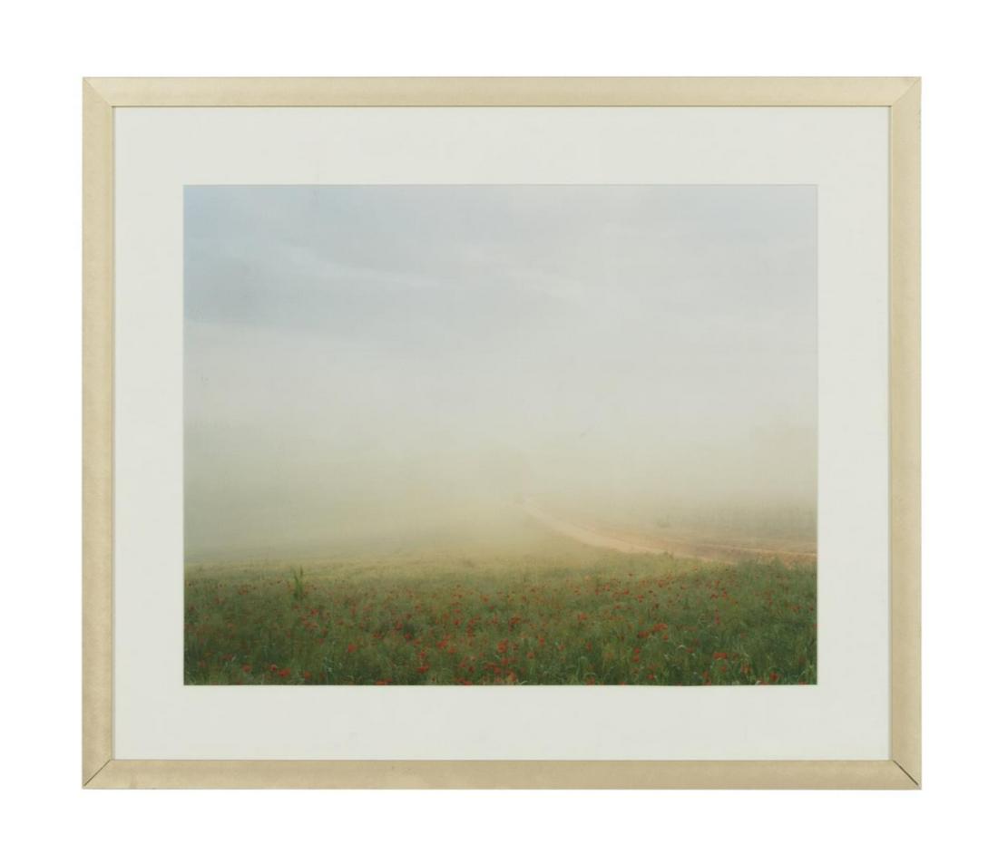 JOEL MEYEROWITZ, DIGITAL PRINT FROM TUSCANY SERIES: Joel Meyerowitz (American b. 1938), "Early Morning, Summer 2001", from the Tuscany Series, 2004 digital chromogenic dye print depicting a foggy field with red flowers, ink signed, titled and dated en