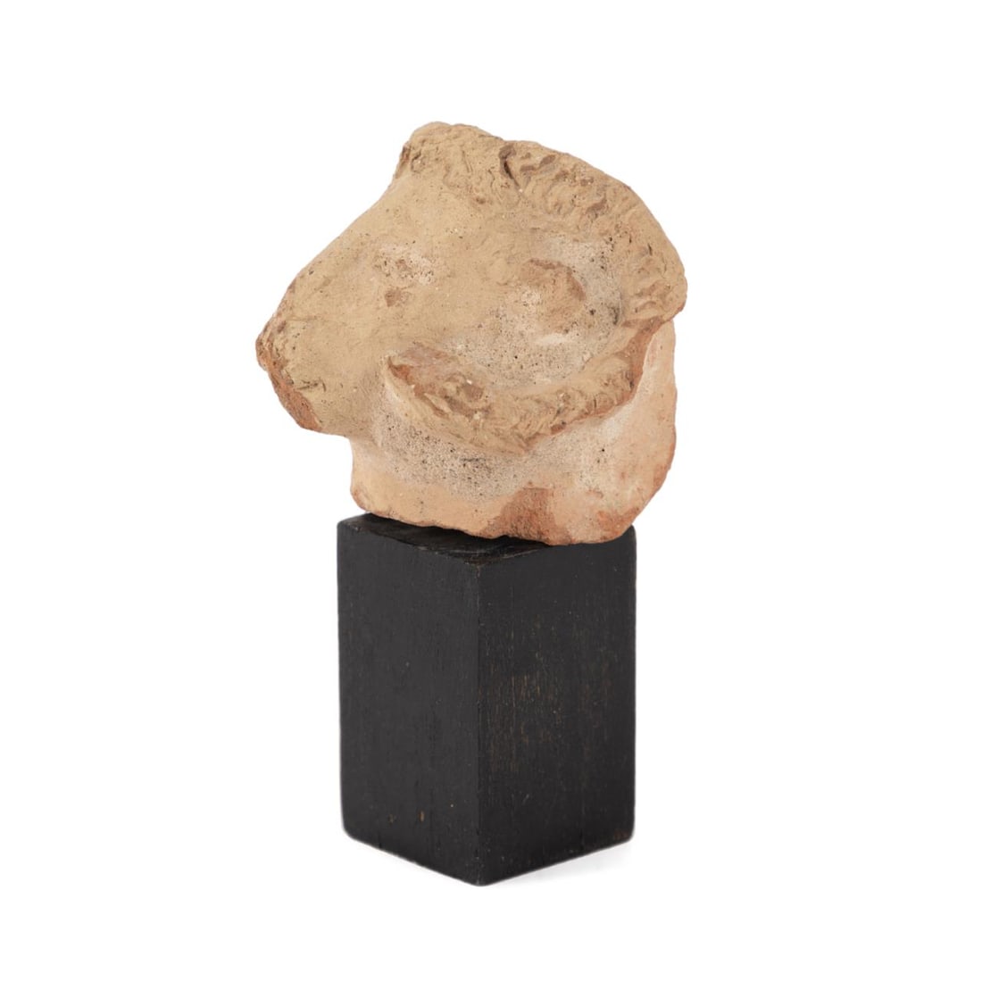 ANCIENT ROMAN TERRACOTTA RAM'S HEAD (1 of 6)