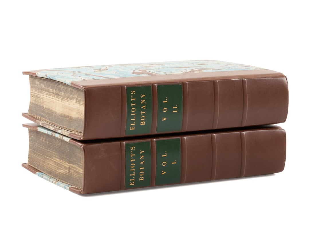 2VOL S. ELLIOTT, BOTANY OF SOUTH CAROLINA AND GA (1 of 10)