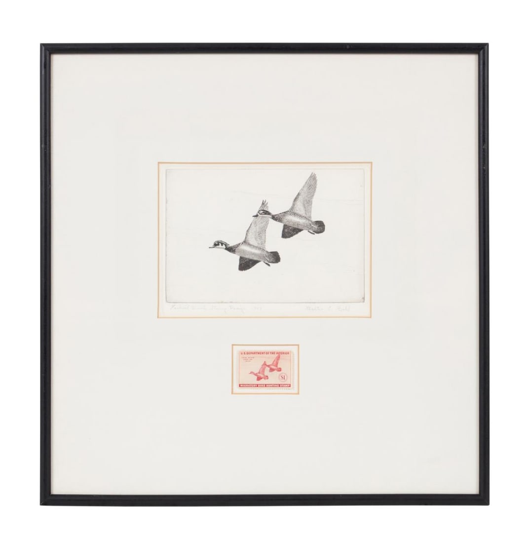 1943 FEDERAL DUCK STAMP PRINT AND STAMP FRAMED (1 of 7)