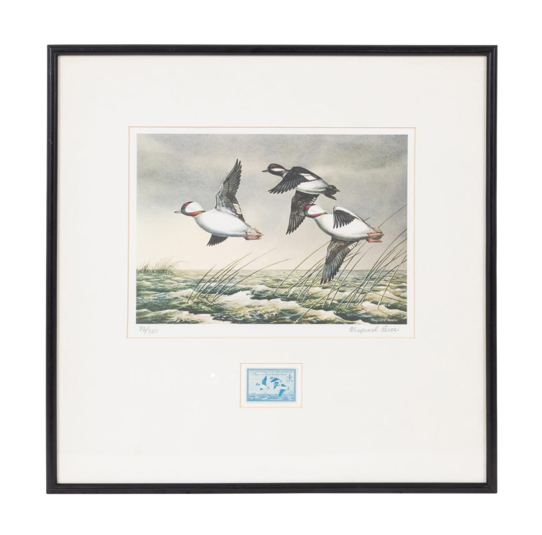 1948 FEDERAL DUCK STAMP PRINT AND STAMP IN FRAME (1 of 7)