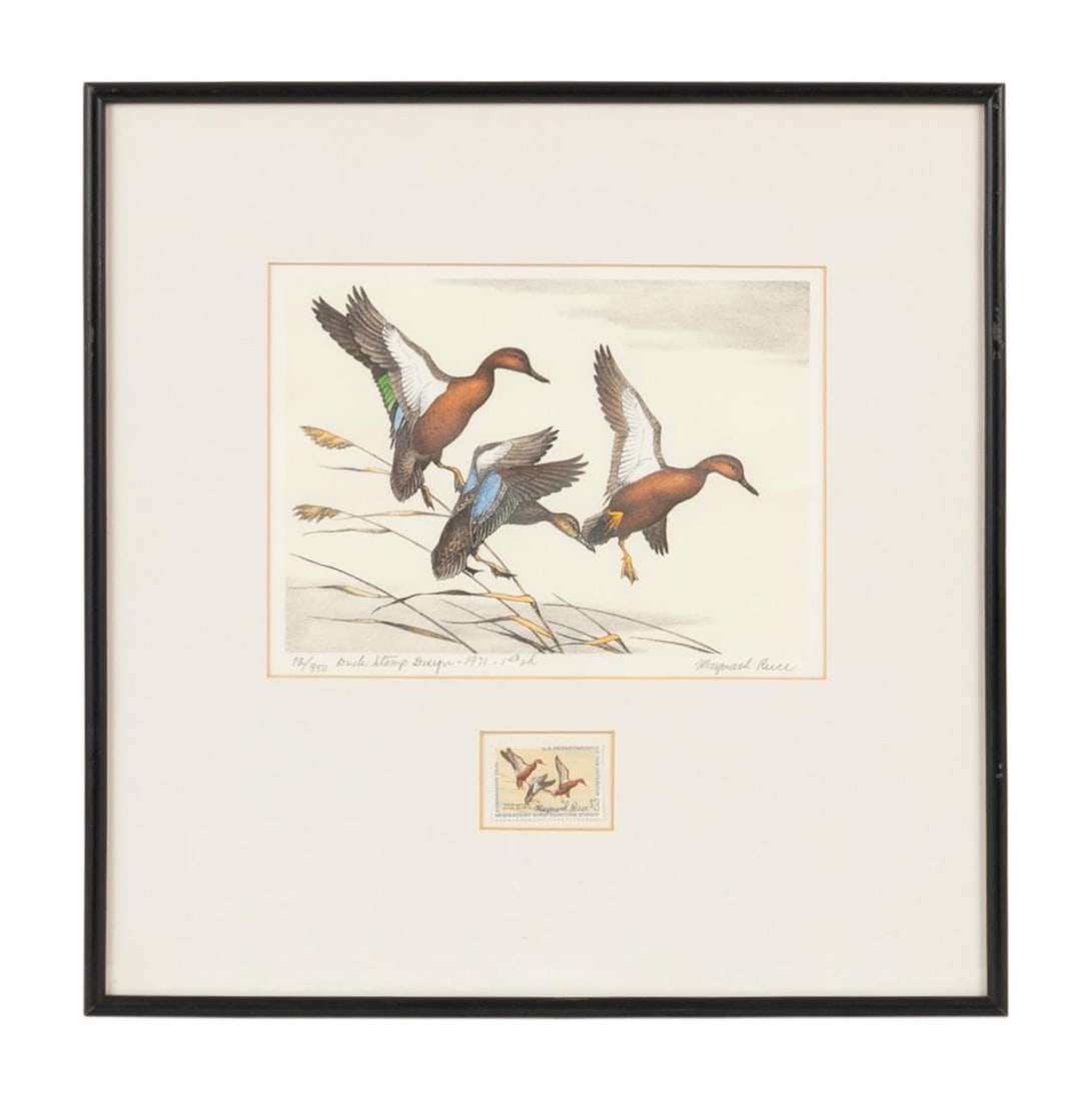 1971 FEDERAL DUCK STAMP PRINT, REECE SIGNED STAMP (1 of 7)