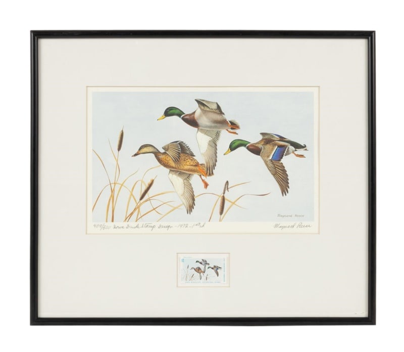 1972 IOWA STATE DUCK STAMP PRINT AND STAMP FRAMED (1 of 7)