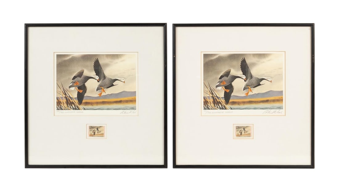 2PCS 1972 FEDERAL DUCK STAMP PRINTS AND STAMPS (1 of 12)