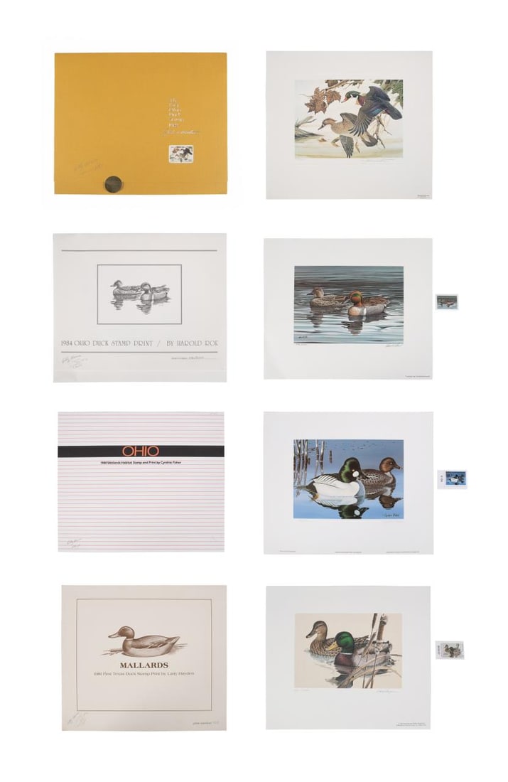 15 OHIO AND TEXAS DUCK STAMP PRINTS WITH STAMPS (1 of 20)
