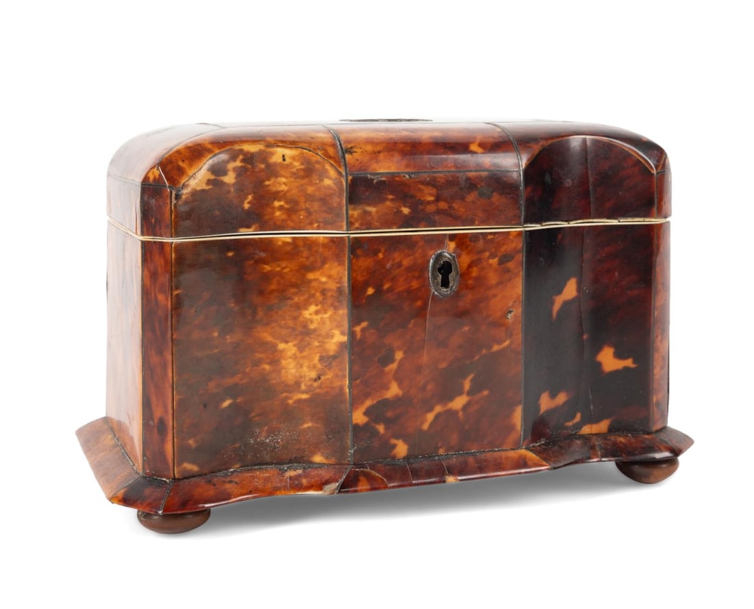 19TH C. VICTORIAN BRITISH SHELL VENEER TEA CADDY (1 of 7)