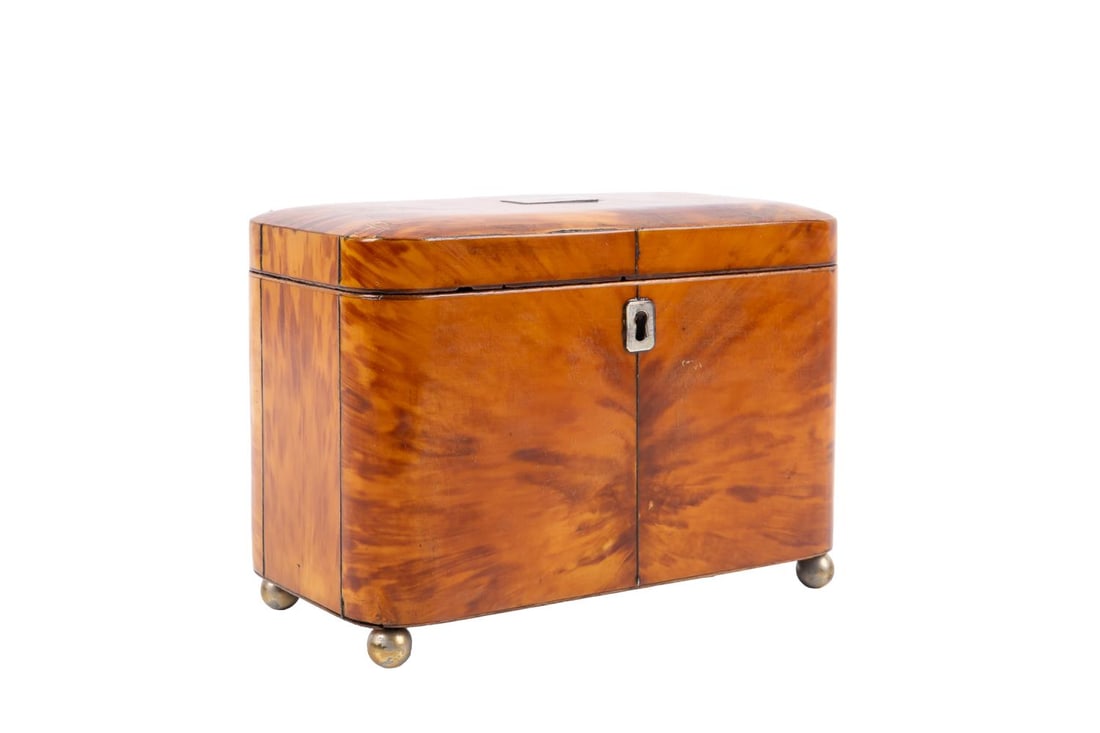 19TH C. GEORGIAN SHELL VENEER OBLONG TEA CADDY (1 of 8)