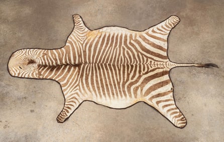 TWO NATURAL ZEBRA HIDE RUGS WITH BACKING