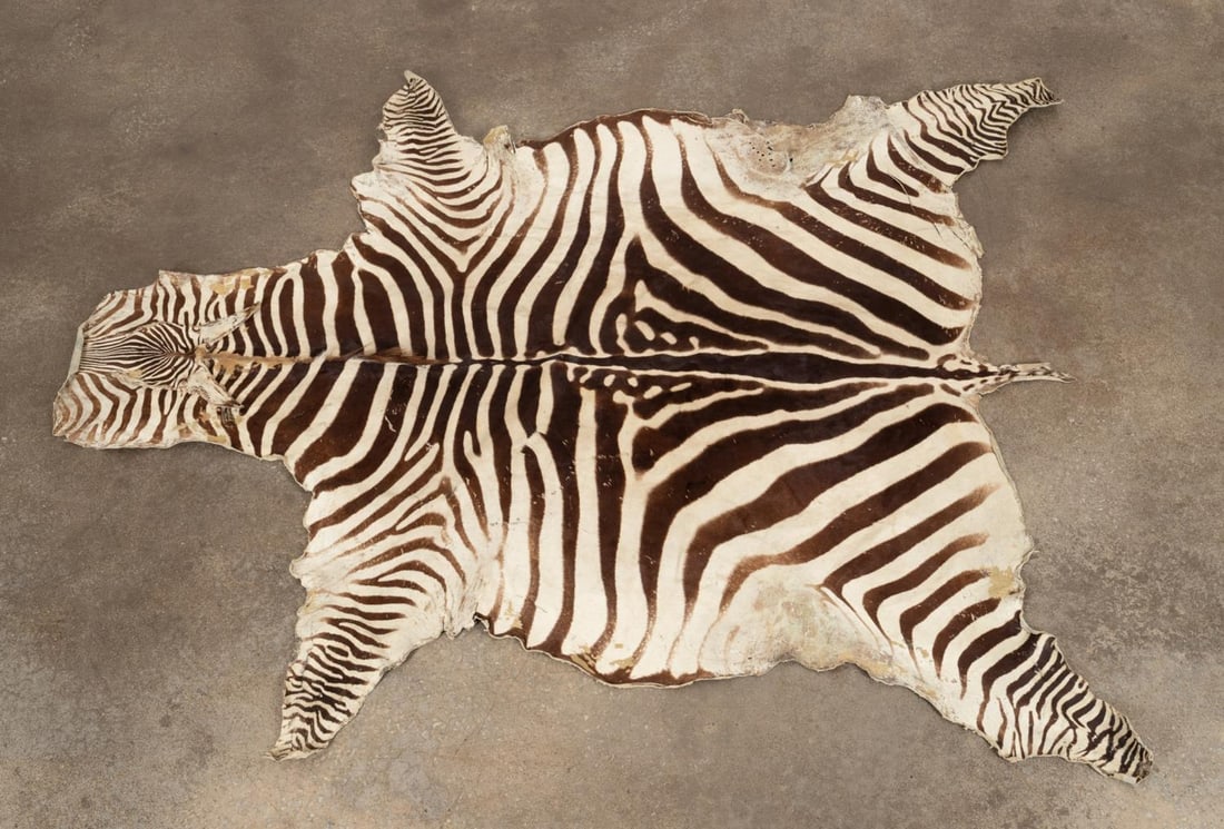 NATURAL ZEBRA HIDE RUG (1 of 2)