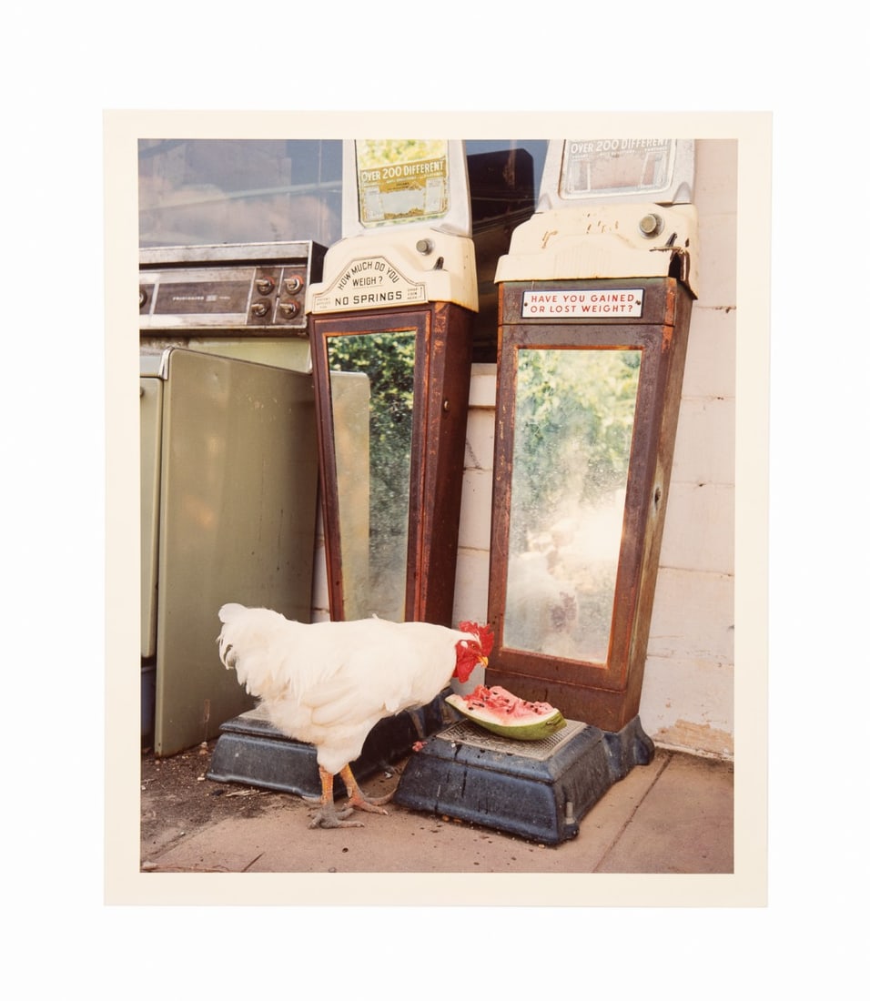 BIRNEY IMES, 'ROOSTER AT WHISPERING...' PHOTOGRAPH (1 of 5)