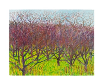 PETER WATTS, FOREST LANDSCAPE, CONTE & MM ON PAPER