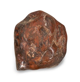 LARGE COLORFUL PETRIFIED WOOD SPECIMEN