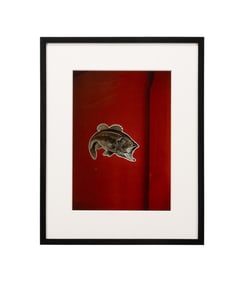 WILLIAM EGGLESTON, FISH FROM PORTFOLIO 10.D.70.VI