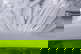 item-210962101=7