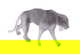 item-210962153=1