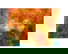 item-210962190=2