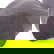 item-210962194=10
