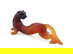 item-210962212=1