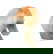 item-210962258=1
