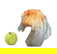item-210962258=2