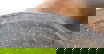item-210962258=7