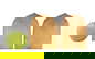 item-211052031=4