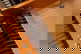 item-211052047=15