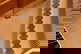 item-211052047=16