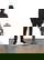 item-211052223=4