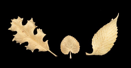 THREE TIFFANY & CO. 18K YG LEAF BROOCHES