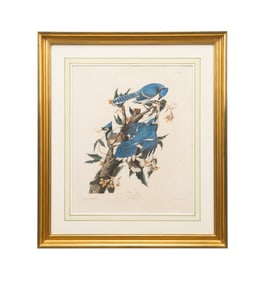 AUDUBON / HAVELL 'BLUE JAY' PLATE 102 ENGRAVING