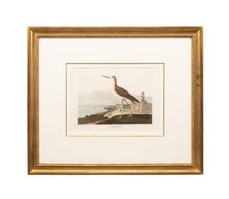 AUDUBON / HAVELL 'GREENSHANK' PLATE 269 ENGRAVING