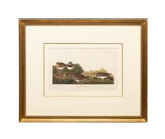 AUDUBON / HAVELL 'SHORE LARK' PLATE 200, ENGRAVING