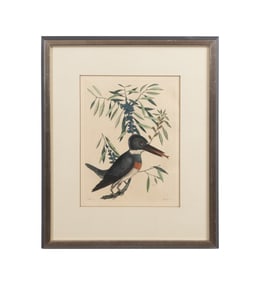 MARK CATESBY, 'THE KINGFISHER' ENGRAVING PLATE 69