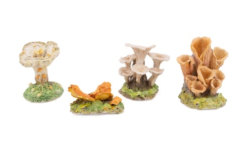 MARIA MARAVIGNA, 4 EDIBLE MUSHROOM CLUSTERS