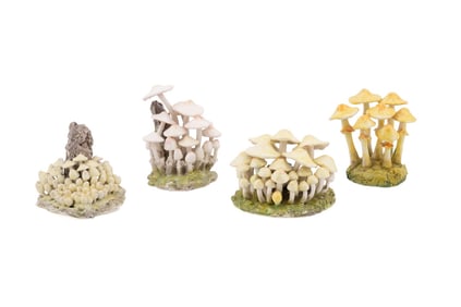 MARIA MARAVIGNA, 4 EDIBLE MUSHROOM CLUSTERS