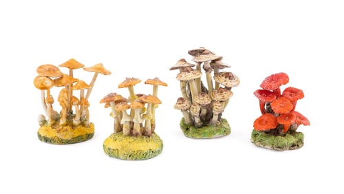 MARIA MARAVIGNA, 4 POISONOUS MUSHROOM CLUSTERS