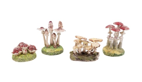 MARIA MARAVIGNA, 4 POISONOUS MUSHROOM CLUSTERS