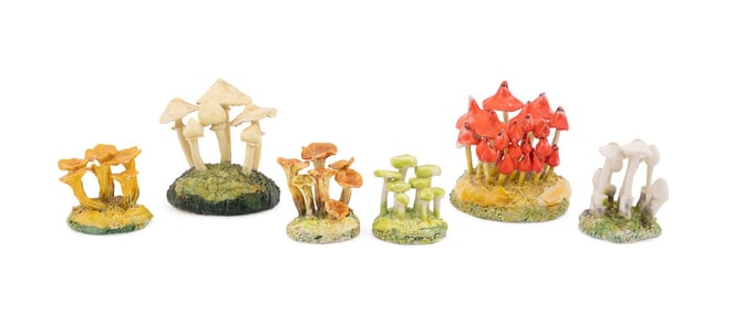 MARIA MARAVIGNA, 6 SMALL EDIBLE MUSHROOM CLUSTERS