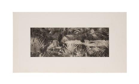 L. CONNER, 'JEAN LAFITTE PARK...' 1998 PHOTOGRAPH