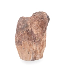 LARGE FOSSILIZED DINOSAUR FEMUR W/ POLISHED END