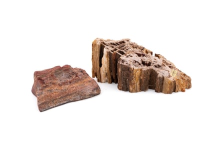 ONE EACH PETRIFIED AND CRYSTALLIZED WOOD PIECES