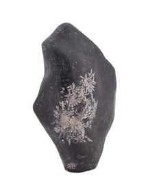 BONSAI SUISEKI CHRYSANTHEMUM SCHOLAR STONE